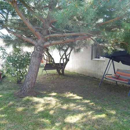 Vaiana * Beauvoir-sur-Mer